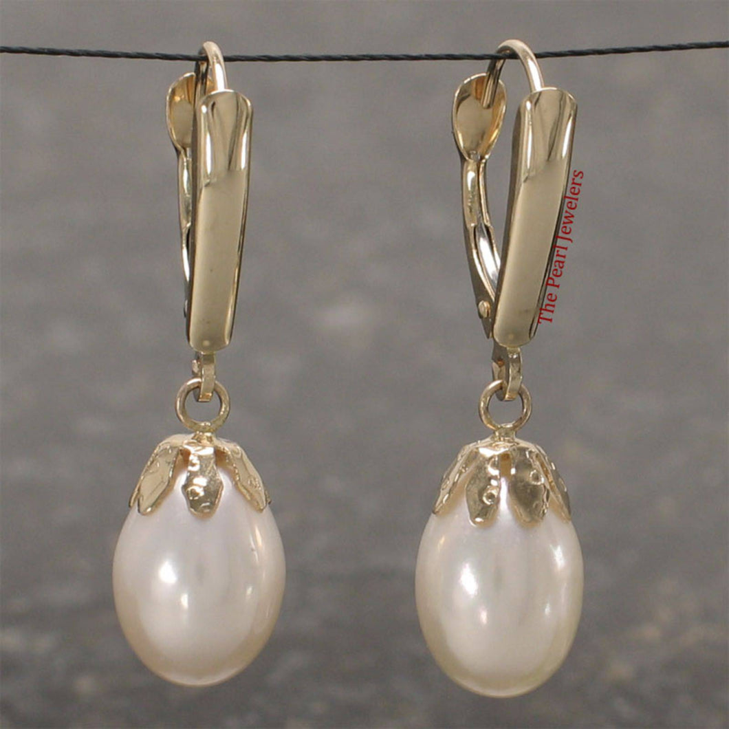 14K Yellow Gold Euro Back White Pearl Dangle Earrings