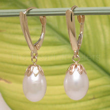 Load image into Gallery viewer, 14K Yellow Gold Euro Back White Pearl Dangle Earrings