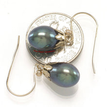 Load image into Gallery viewer, 14K Yellow Gold Fish Hook Black Pearl Claw Earrings (7.5–8mm)