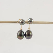 Load image into Gallery viewer, 14K Yellow Gold Black Pearl Dangle Earrings with Fish Hook