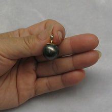 Load image into Gallery viewer, 14k Yellow Gold Flower-Cap Black Tahitian Pearl Pendant