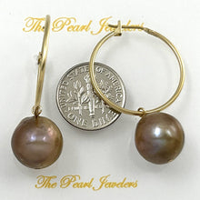 Load image into Gallery viewer, 14K Yellow Gold Lavender Pearl Hoop Earrings