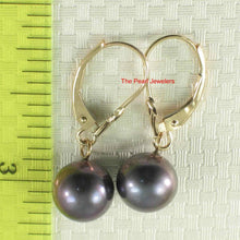 Load image into Gallery viewer, 14K Yellow Gold Eggplant Pearl Leverback Earrings (8–8.5mm)