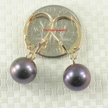 Load image into Gallery viewer, 14K Yellow Gold Eggplant Pearl Leverback Earrings (8–8.5mm)