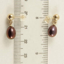 Load image into Gallery viewer, 14K Yellow Gold Raindrop Black Pearl Dangle Stud Earrings