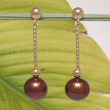 Load image into Gallery viewer, 14K Yellow Gold Twist Tube Tin-Cup Chocolate Pearl Dangle Earrings