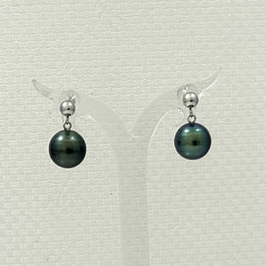 14k White Gold Black Tahitian Pearl Dangle Stud Earrings