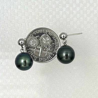 14k White Gold Black Tahitian Pearl Dangle Stud Earrings