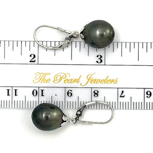 14k White Gold Black Tahitian Pearl Leverback Dangle Earrings (10.5 mm)