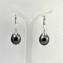 Load image into Gallery viewer, 14k White Gold Black Tahitian Pearl Leverback Dangle Earrings (10.5 mm)