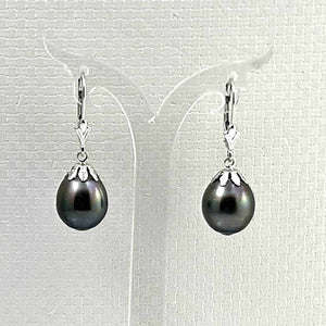 14k White Gold Black Tahitian Pearl Leverback Dangle Earrings (10.5 mm)