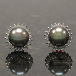 14k White Gold Diamond & Black Cultured Pearl Stud Earrings
