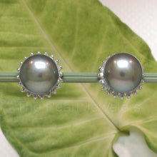 Load image into Gallery viewer, 14k White Gold Diamond &amp; Black Cultured Pearl Stud Earrings