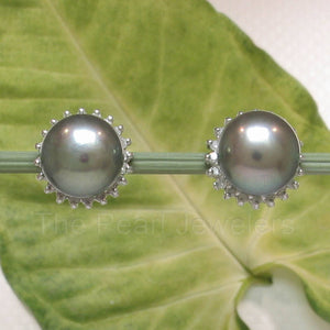 14k White Gold Diamond & Black Cultured Pearl Stud Earrings
