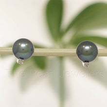 Load image into Gallery viewer, 14k White Gold Diamond &amp; Black Pearl Stud Earrings