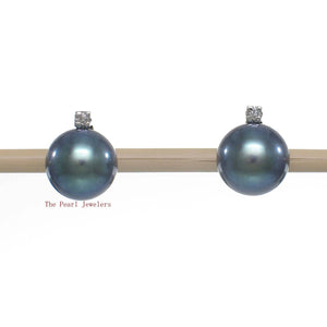 14k White Gold Diamond & Black Pearl Stud Earrings