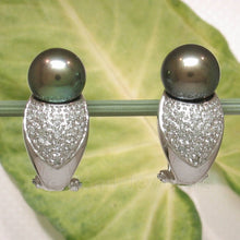 Load image into Gallery viewer, 14k White Gold Diamonds AAA Black Pearl Omega Back Earrings
