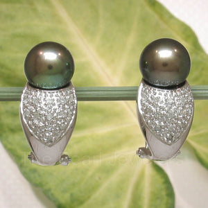 14k White Gold Diamonds AAA Black Pearl Omega Back Earrings