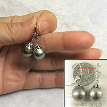 Load image into Gallery viewer, 14k White Gold Gray Green Tahitian Pearl Leverback Dangle Earrings