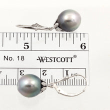 Load image into Gallery viewer, 14k White Gold Gray Silver Tahitian Pearl Leverback Dangle Earrings