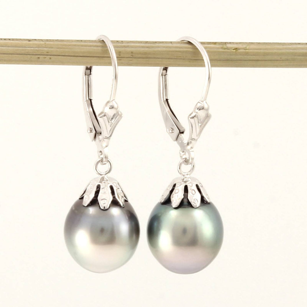 14k White Gold Gray Silver Tahitian Pearl Leverback Dangle Earrings