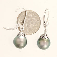 Load image into Gallery viewer, 14k White Gold Natural Gray Green Tahitian Pearl Leverback Dangle Earrings