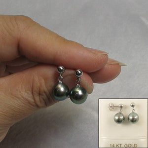 14k White Gold Silver Tone Tahitian Pearl Dangle Stud Earrings
