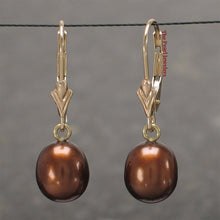 Load image into Gallery viewer, 14k Yellow Gold Chocolate Pearl Leverback Dangle Earrings