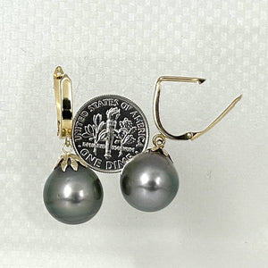 14k Yellow Gold Classic Collection 13 mm Black Tahitian Pearl Dangle Earrings