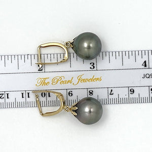 14k Yellow Gold Classic Collection 13 mm Black Tahitian Pearl Dangle Earrings