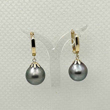 Load image into Gallery viewer, 14k Yellow Gold Classic Collection 13 mm Black Tahitian Pearl Dangle Earrings