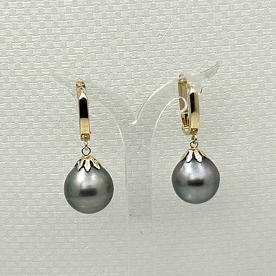 14k Yellow Gold Classic Collection 13 mm Black Tahitian Pearl Dangle Earrings