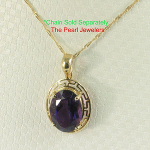 14K Yellow Gold Greek Key Amethyst Pendant (10x14mm)