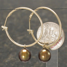 Load image into Gallery viewer, 14k Yellow Gold Hoop &amp; Chocolate Pearl Dangles