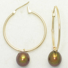 Load image into Gallery viewer, 14k Yellow Gold Hoop &amp; Chocolate Pearl Dangles