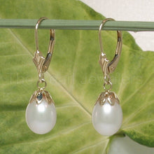 Load image into Gallery viewer, 14k Yellow Gold Leverback Cups Genuine White Pearl Dangle Earrings