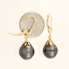 Load image into Gallery viewer, 14k Yellow Gold Leverback &amp; Flower Cap Black Tahitian Pearl Dangle Earrings