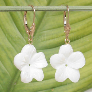14k Yellow Gold Leverback Mother-of-Pearl Plumeria Earrings