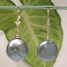 Load image into Gallery viewer, 14k Yellow Gold Leverback Multi-Color Coin Cultured Pearl Dangle Earrings