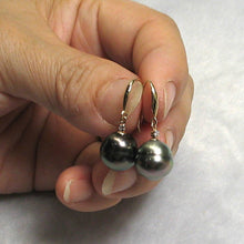 Load image into Gallery viewer, 14k Yellow Gold Peacock Tahitian Pearl Diamond Fish Hook Earrings