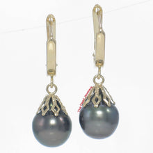 Load image into Gallery viewer, 14k Yellow Gold Teardrop Black Tahitian Pearl Dangle Earrings