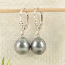 Load image into Gallery viewer, 14k White Gold 10.2 mm Black Blue Tahitian Pearl Leverback Earrings