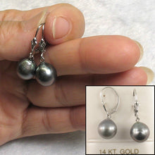 Load image into Gallery viewer, 14k White Gold 10.2 mm Black Blue Tahitian Pearl Leverback Earrings