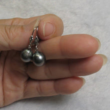 Load image into Gallery viewer, 14k White Gold 10.2 mm Black Blue Tahitian Pearl Leverback Earrings