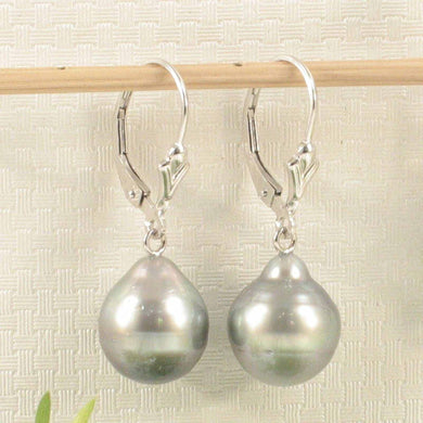 14k White Gold 10.8 mm Black Silver Tahitian Pearl Leverback Earrings