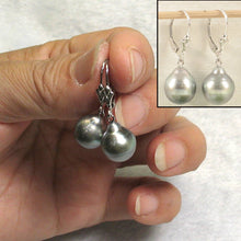 Load image into Gallery viewer, 14k White Gold 10.8 mm Black Silver Tahitian Pearl Leverback Earrings