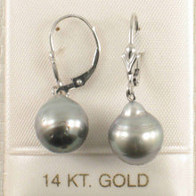 Load image into Gallery viewer, 14k White Gold 10.8 mm Black Silver Tahitian Pearl Leverback Earrings