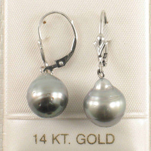 14k White Gold 10.8 mm Black Silver Tahitian Pearl Leverback Earrings