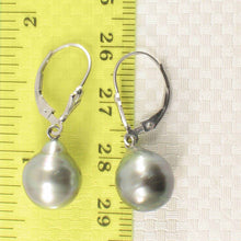 Load image into Gallery viewer, 14k White Gold 10.8 mm Black Silver Tahitian Pearl Leverback Earrings
