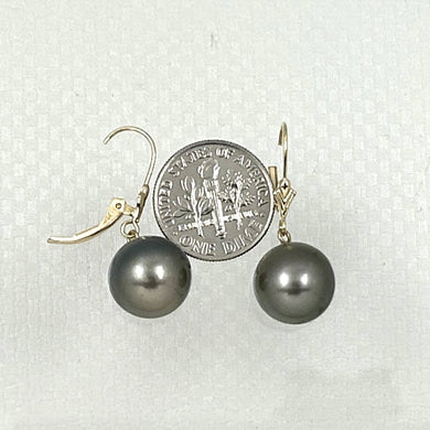 14k Yellow Gold 11–12 mm Round Black Tahitian Pearl Leverback Earrings